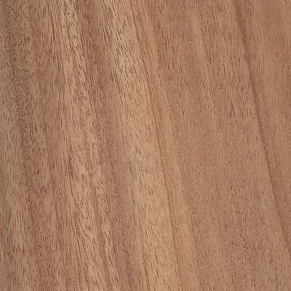 African Mahogany