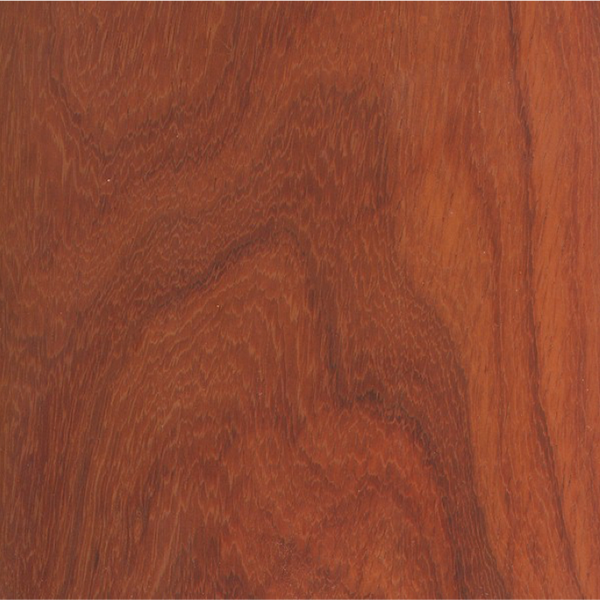 Padauk African Padauk Vermillion wood